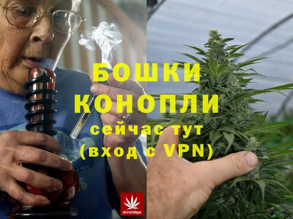 mdpv Богородицк