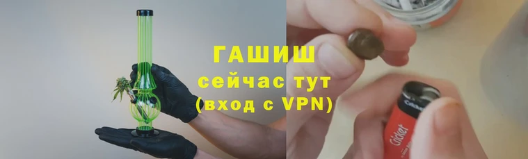 mdpv Богородицк