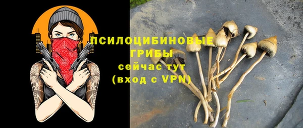 mdpv Богородицк