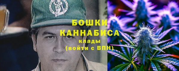 гашик Россошь