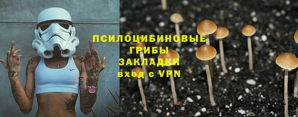mdpv Богородицк